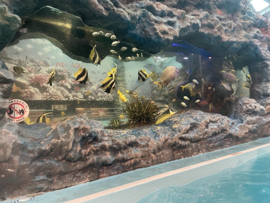 熱帯魚の水槽