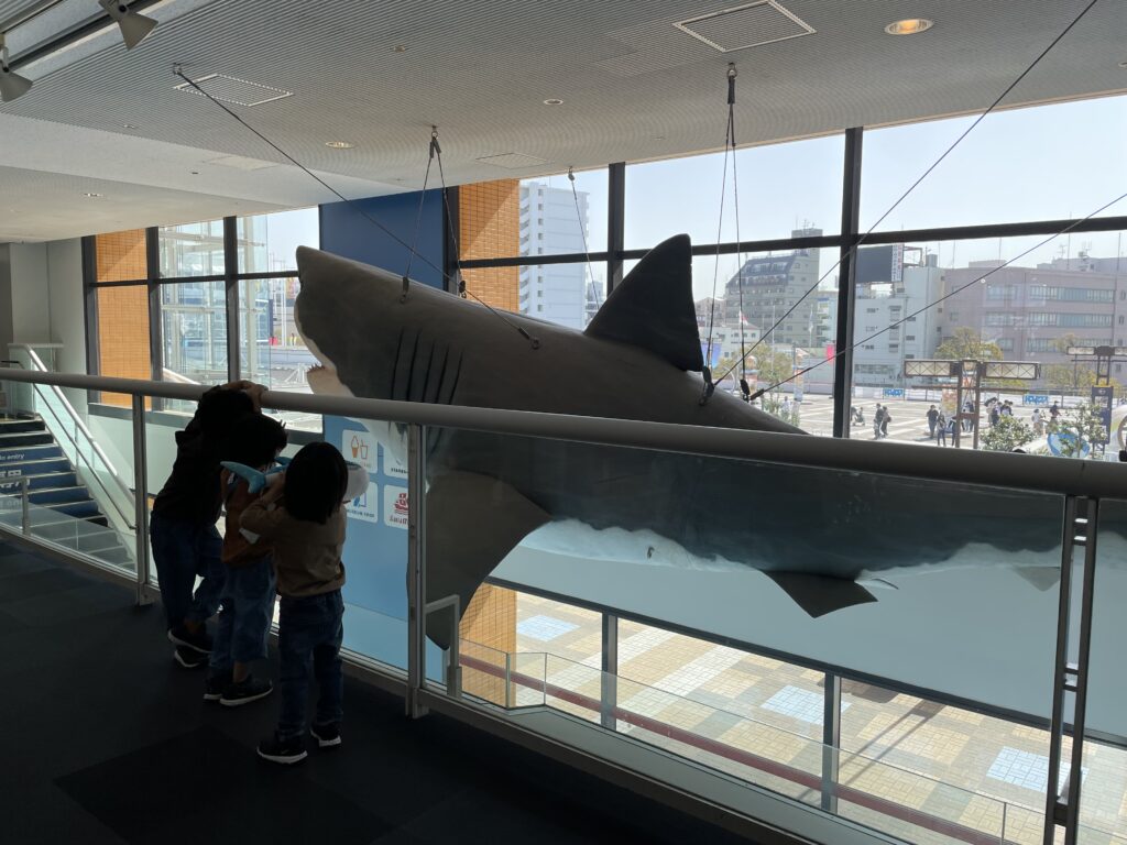 吹き抜けに展示された大きなサメの模型