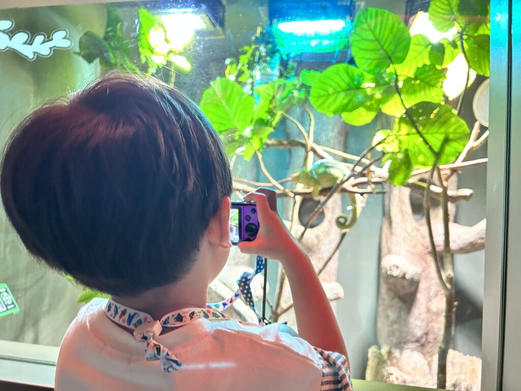 植物の間にいる生きものにカメラを向ける子ども