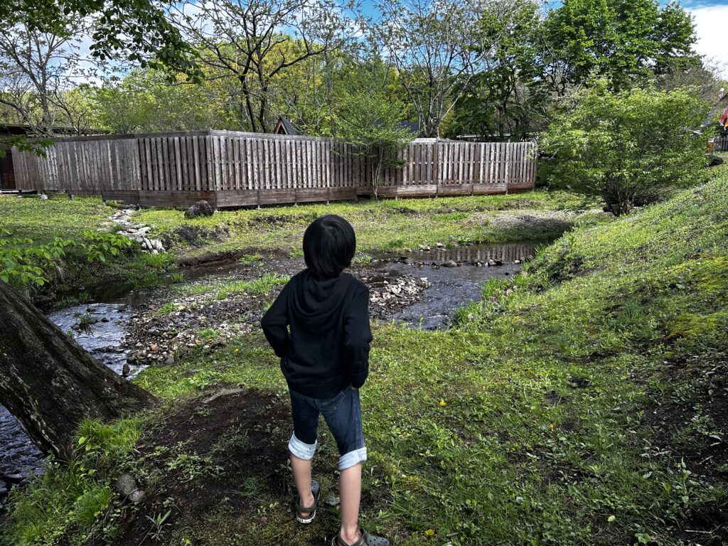 小川をのぞきこむ子ども