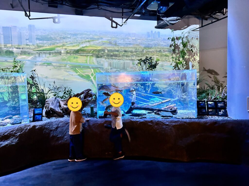 窓の外の景色を背景に水槽をのぞく子どもたち