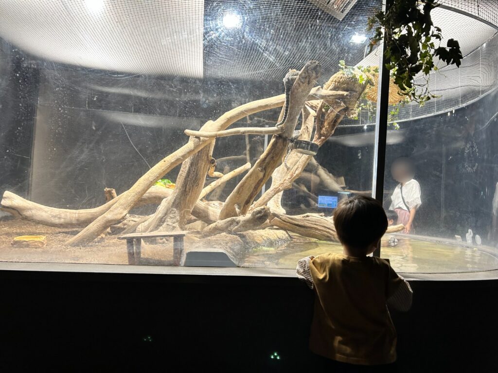 流木が配置された大きな展示を見る子ども