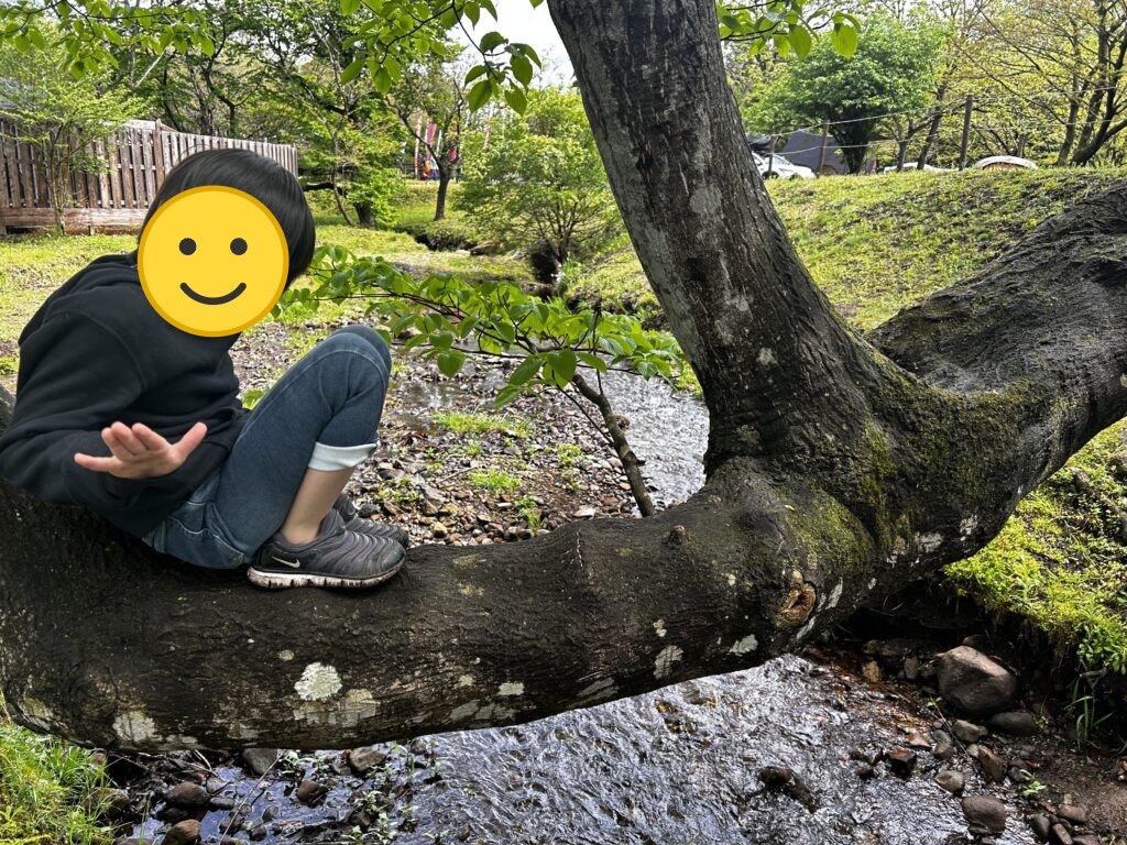 木の枝に座って小川を眺める子ども