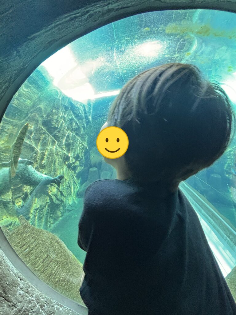 水中トンネルの水槽を見上げる子ども