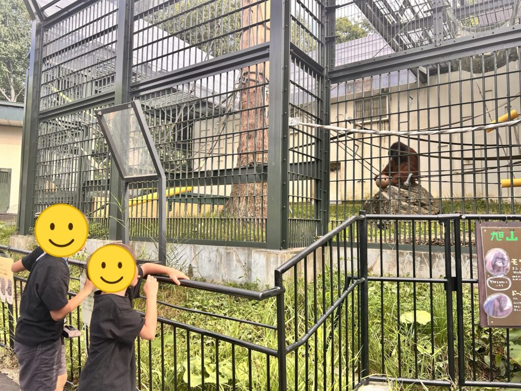 柵ごしに動物を見つめる子どもたち