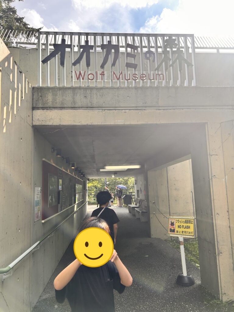 オオカミの森の入口を歩く子ども