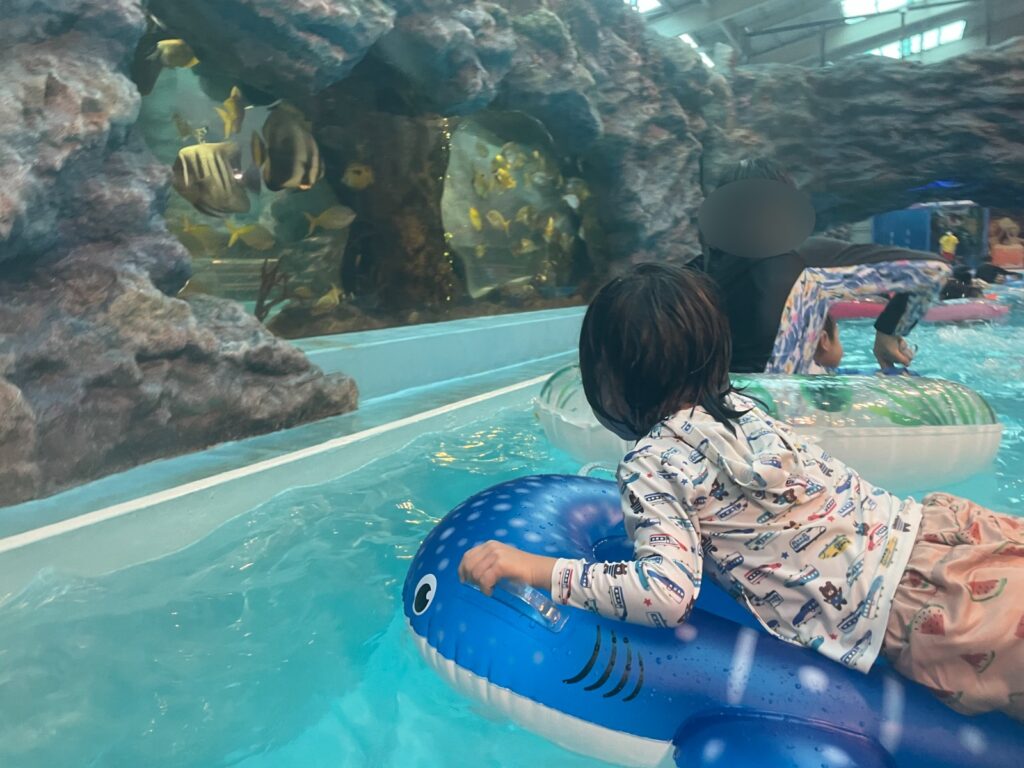 水槽沿いを進む浮き輪の子ども