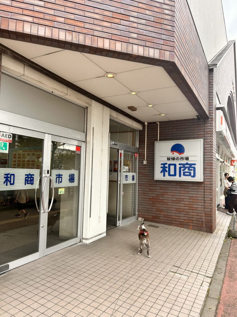 釧路の和商市場の入口の前に立つワンコ