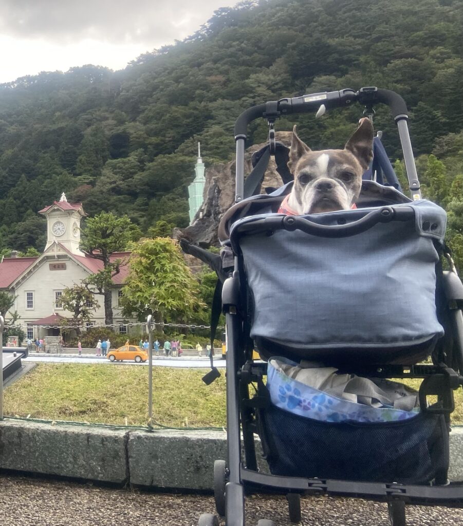 札幌時計台のミニチュアとカートに乗る犬