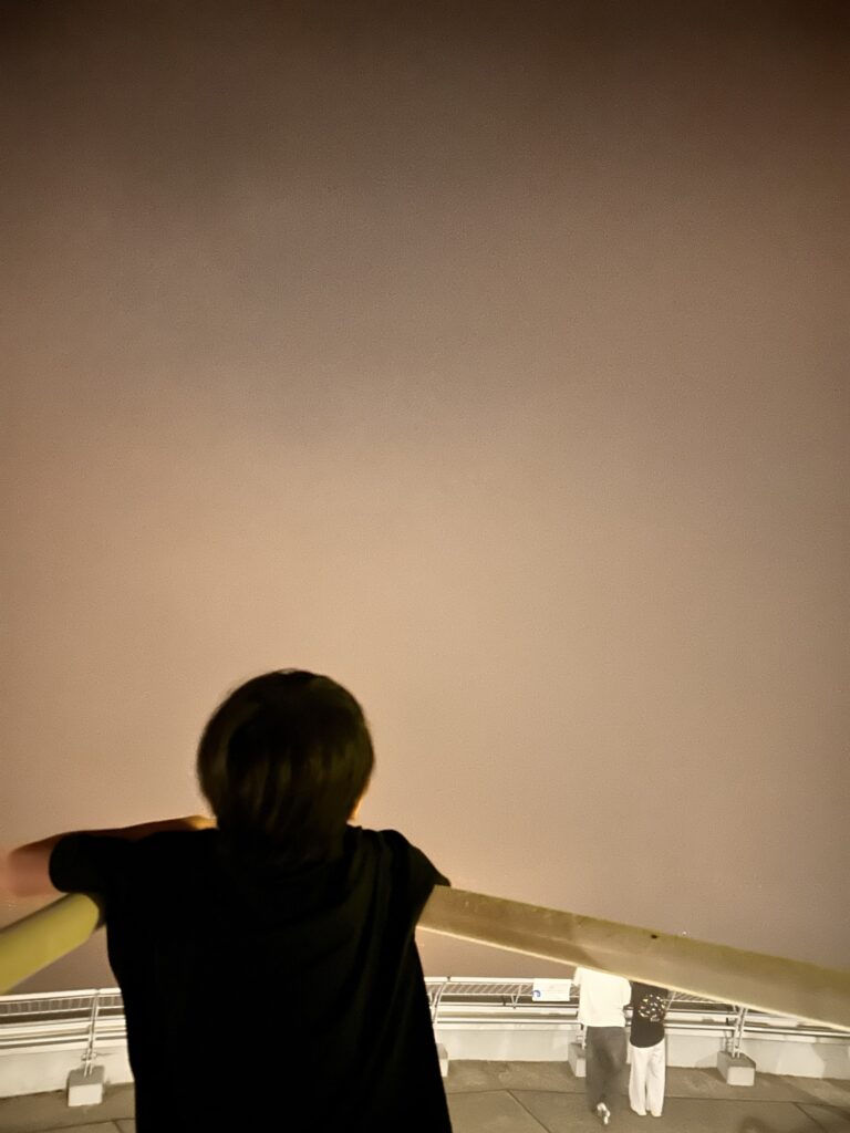 霧の中、展望台から景色を眺める子どもの後ろ姿