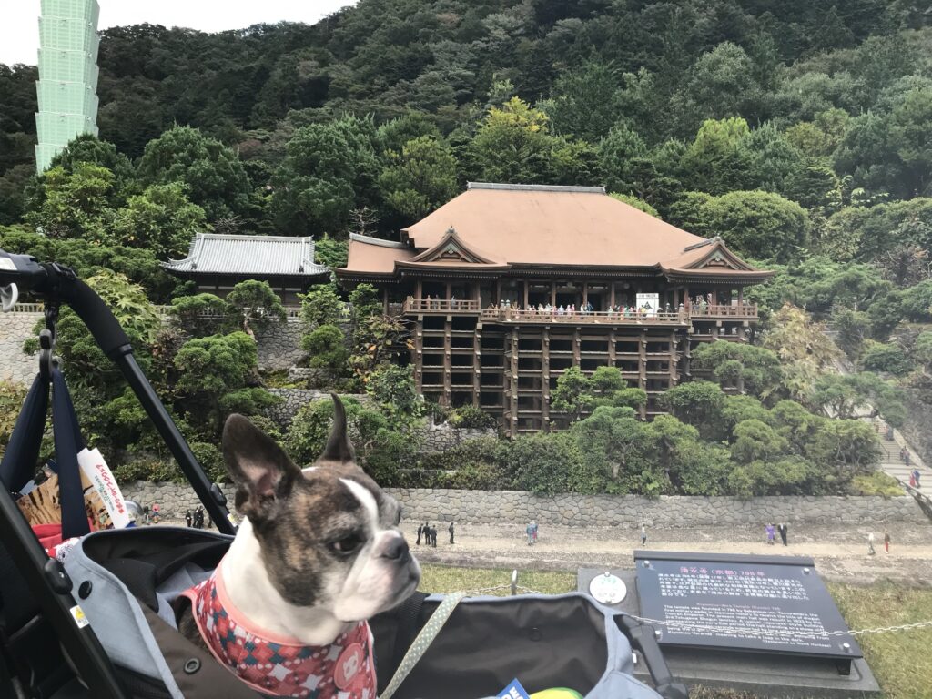 清水寺のミニチュアとカートに乗る犬