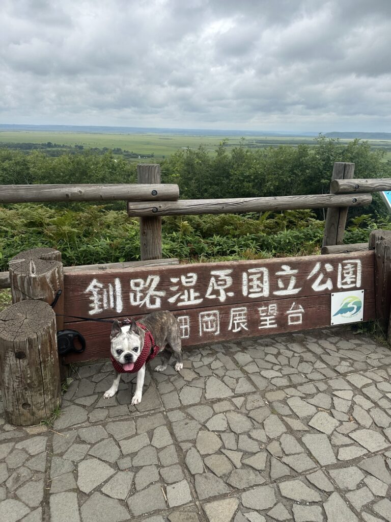 釧路湿原国立公園 細岡展望台の看板の前で待つワンコ