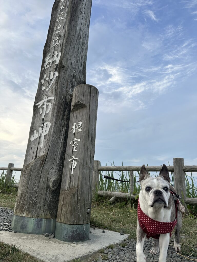 納沙布岬の木の標柱の前に立つワンコ