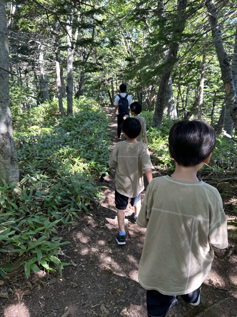 森の中を歩く子どもたちの後ろ姿
