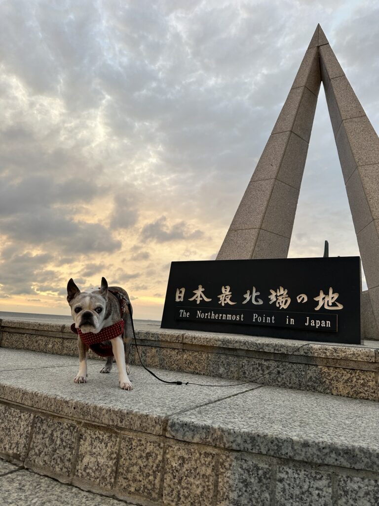 日本最北端の地の碑の前にいる愛犬