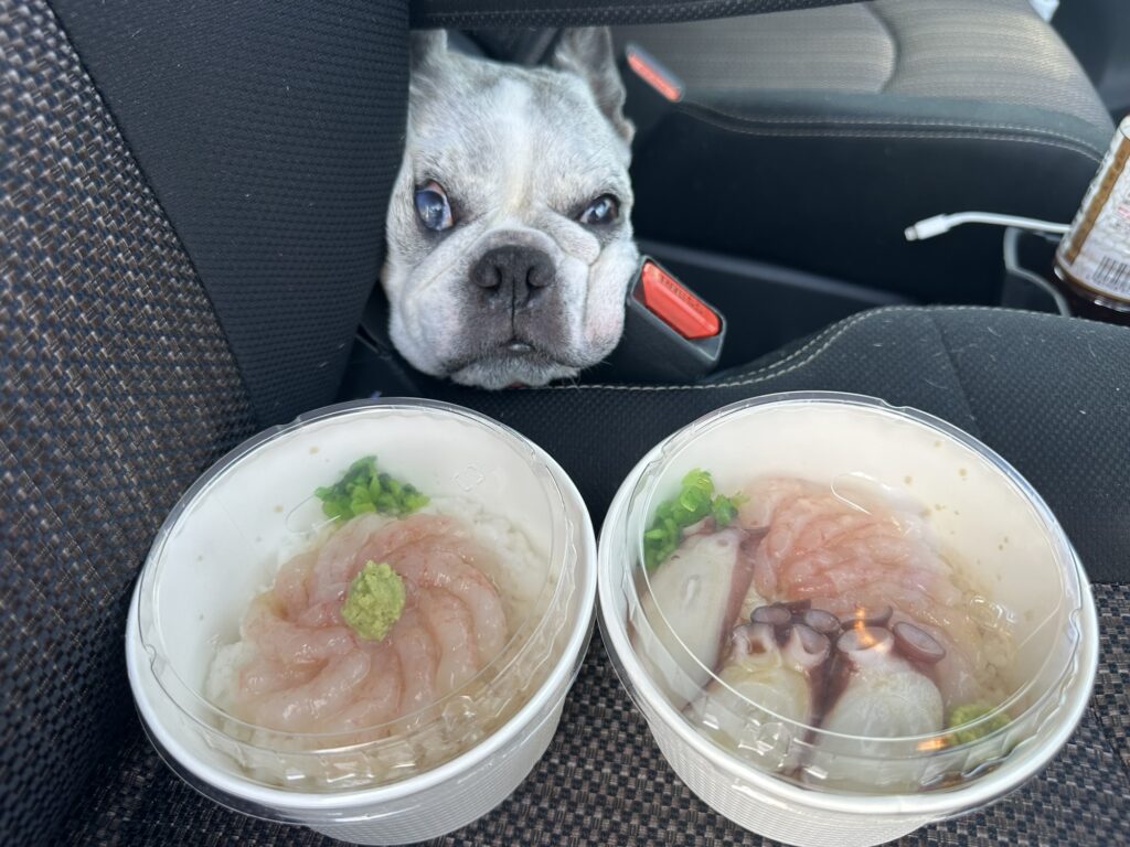 車内で甘えび丼を待つ愛犬と2つの丼