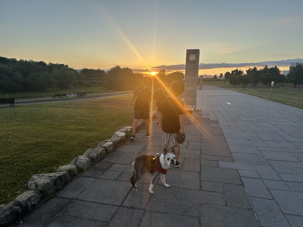 夕日の公園を歩く子どもたちと愛犬
