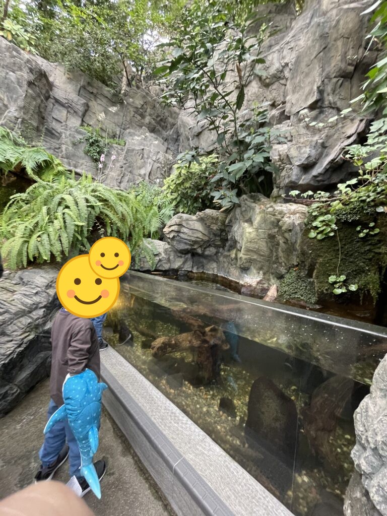 緑あふれる展示の水槽をのぞく子ども