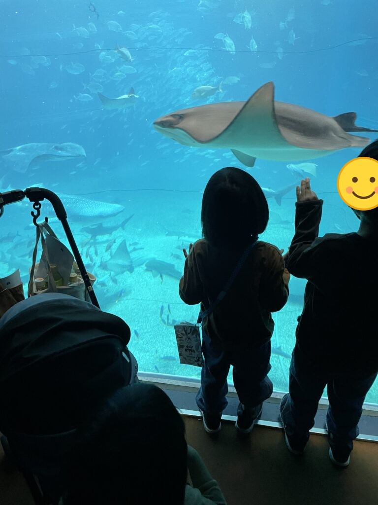 大水槽のエイを見上げる子どもたち