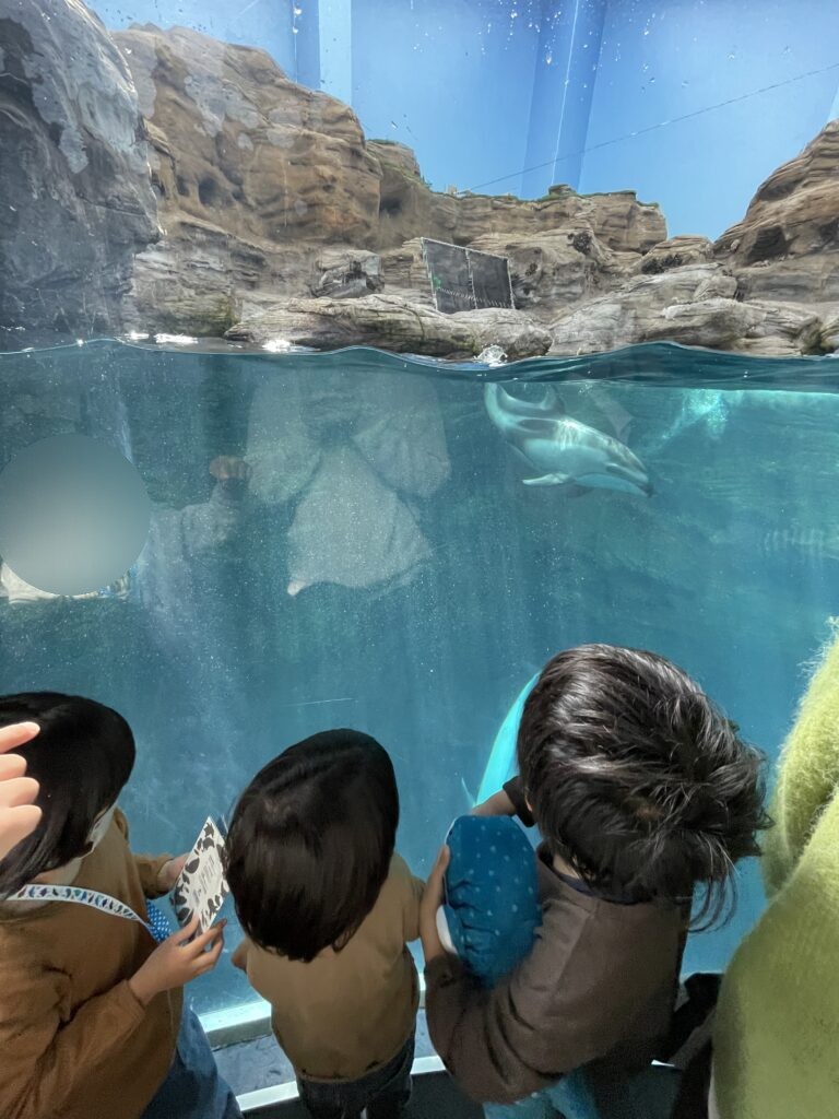 水面近くを泳ぐ生き物を見つめる子どもたち