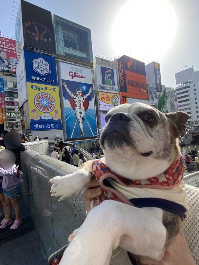 道頓堀のグリコ看板と愛犬