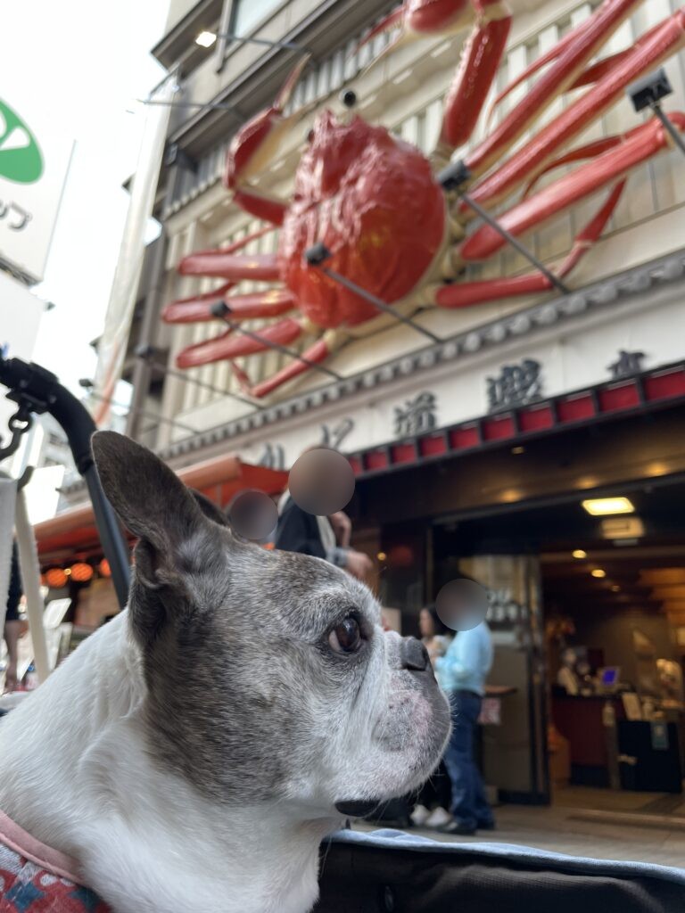 かに道楽の巨大なカニ看板と愛犬