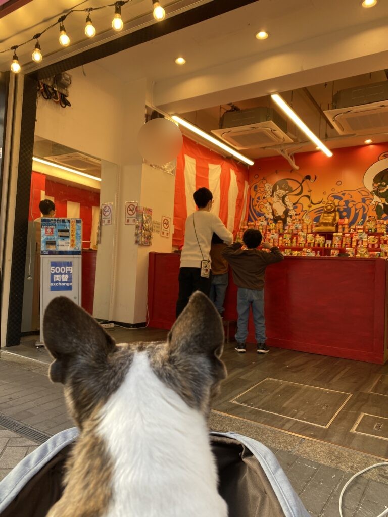 道頓堀のお店をのぞく子ども