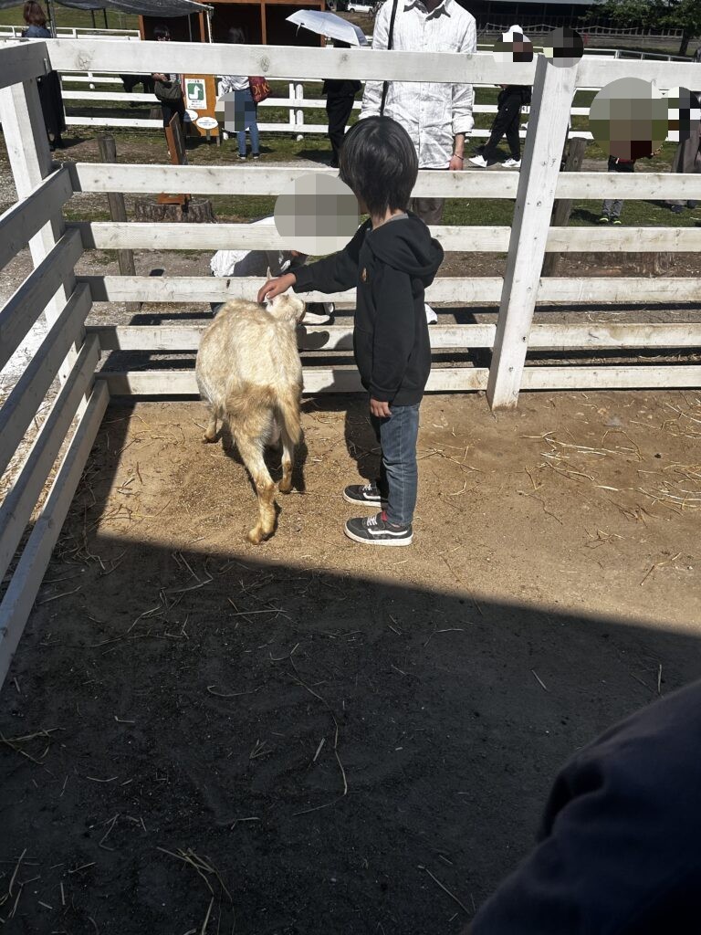 ヤギとふれあう子ども
