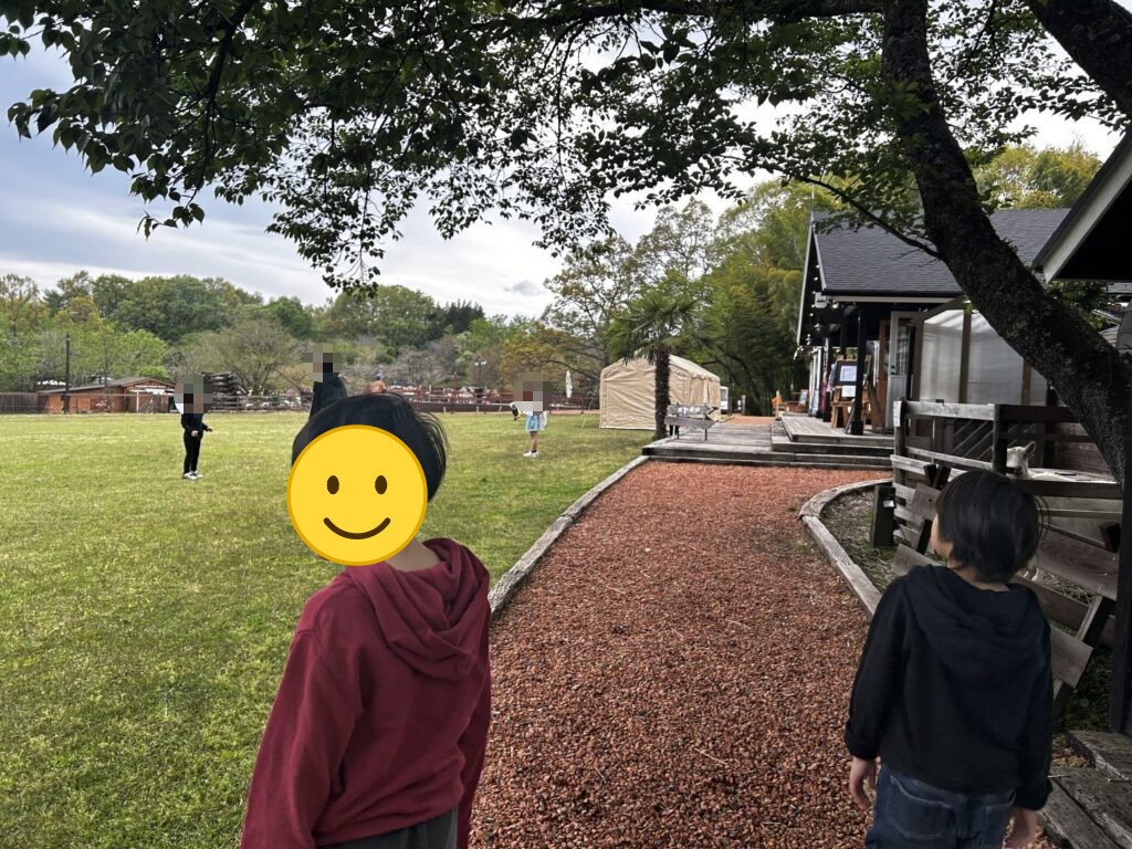 サイトから見える広い芝生と管理棟エリア