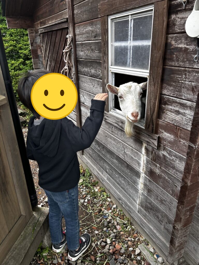 ヤギに触れる子ども